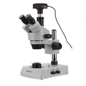 Stereo microscope with camera