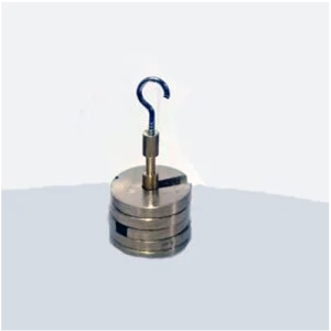 Slotted Mass Set 10gm 5pcs